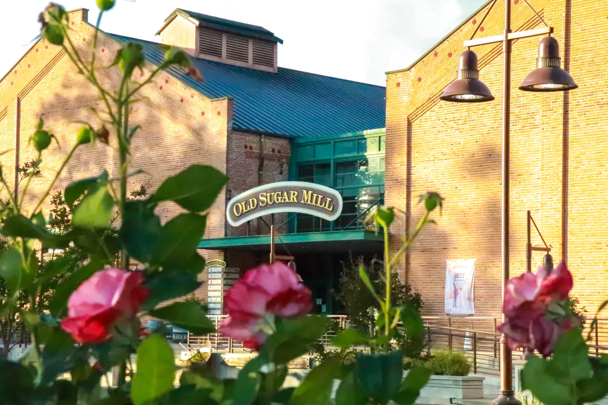 A historic brick building serves as a backdrop for a sunny courtyard filled with people gathered at outdoor tables, enjoying good wine and the company of friends and family. This lively scene in downtown Sacramento captures the essence of community and the joy of wine tasting at a local winery.