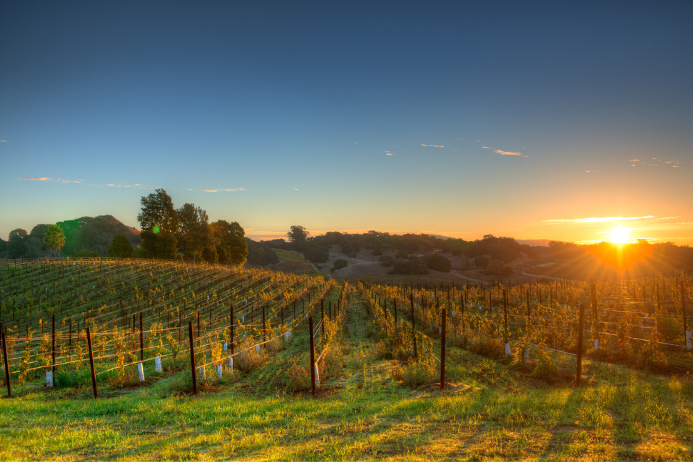 wineries northern ca